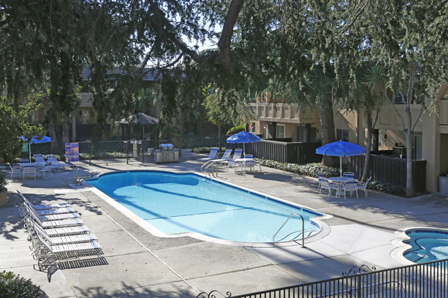 The Mediterranean Apartments in San Jose, CA - Building Photo - Other