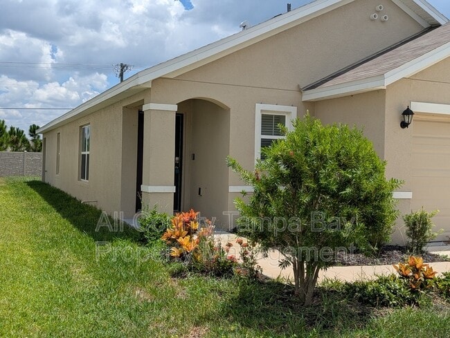 16549 Mosaic Oar Dr in Wimauma, FL - Building Photo - Building Photo