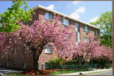 Gardner St, 75-90 in Boston, MA - Foto de edificio - Building Photo