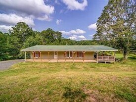 1393 Edwards Mill Rd in Ball Ground, GA - Building Photo