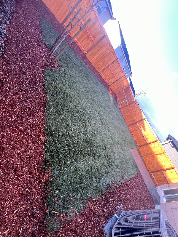 329 Stella St NE in Salem, OR - Foto de edificio - Building Photo