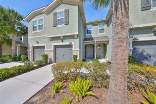 11644 Cambium Crown Dr in Riverview, FL - Building Photo