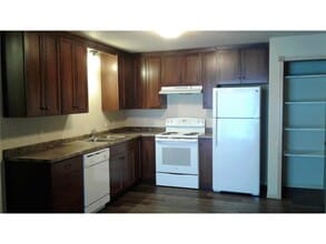 308 Willow St in Somerset, WI - Building Photo - Building Photo