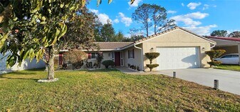 10123 Fairtree Ln in Orlando, FL - Building Photo