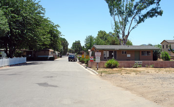 41900 Ivy St in Murrieta, CA - Building Photo - Building Photo