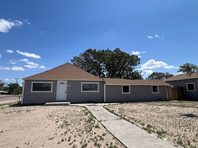 825 Mc Lean St in Fallon, NV - Building Photo - Building Photo