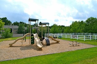 Paddock Club in Florence, KY - Building Photo