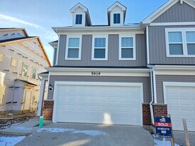 5919 Hawkweed Dr in Naperville, IL - Building Photo