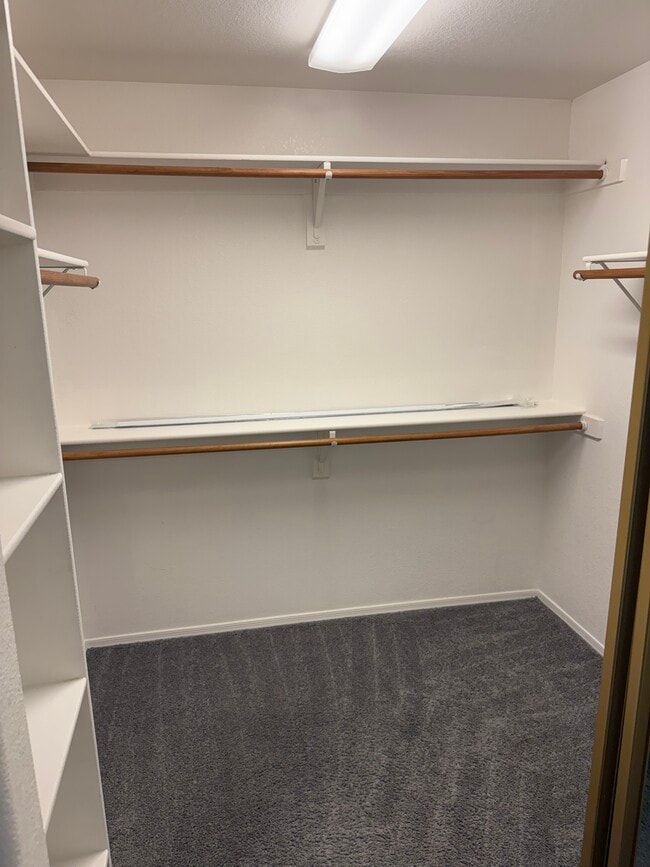 12152 N Finch Dr in Fountain Hills, AZ - Building Photo - Building Photo