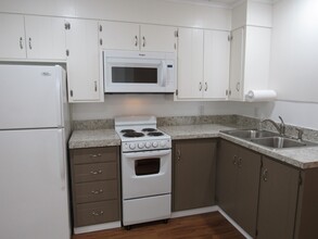 313 Tecumseh St, Unit #4 in Brooklyn, MI - Building Photo - Building Photo