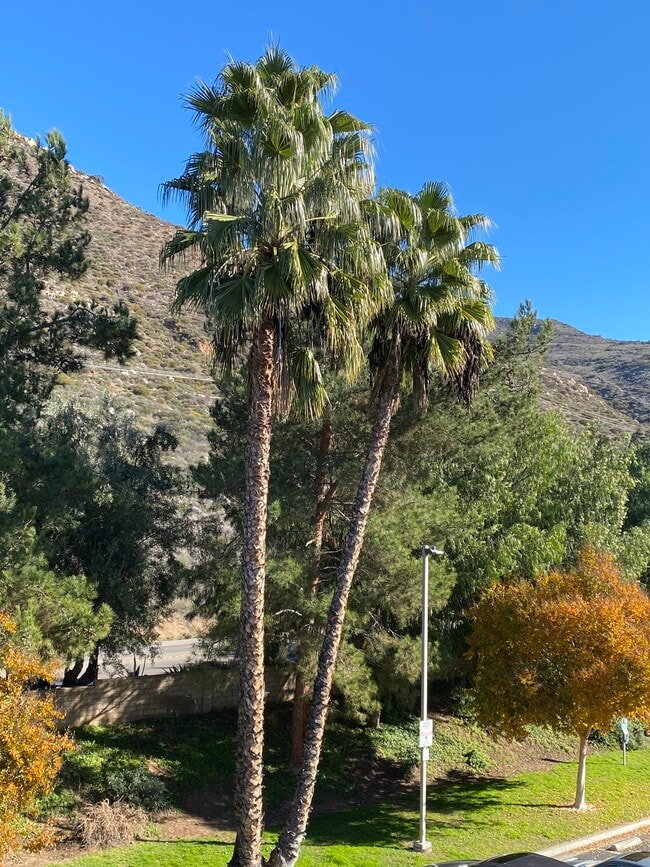 3183 Dehesa Rd in El Cajon, CA - Building Photo - Building Photo