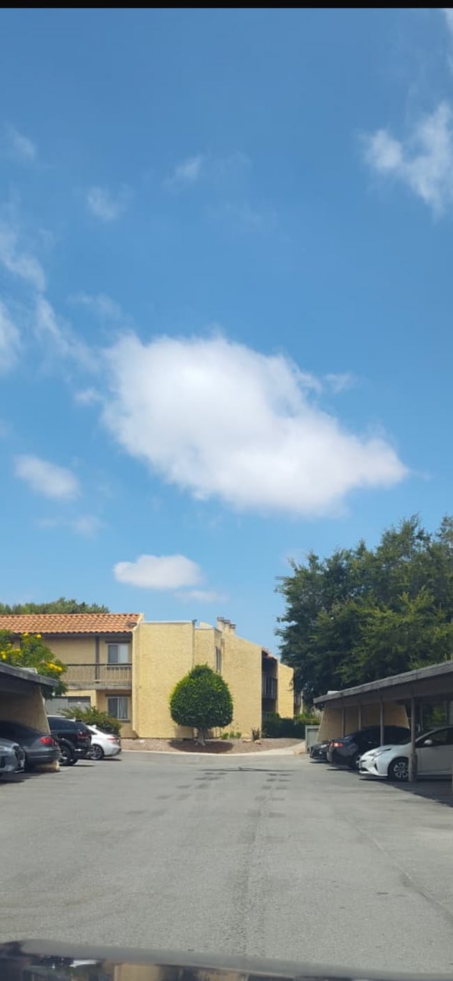property at 3040 Alta View Dr