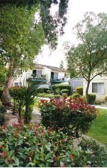 Parkside Apartments in Bakersfield, CA - Building Photo - Building Photo