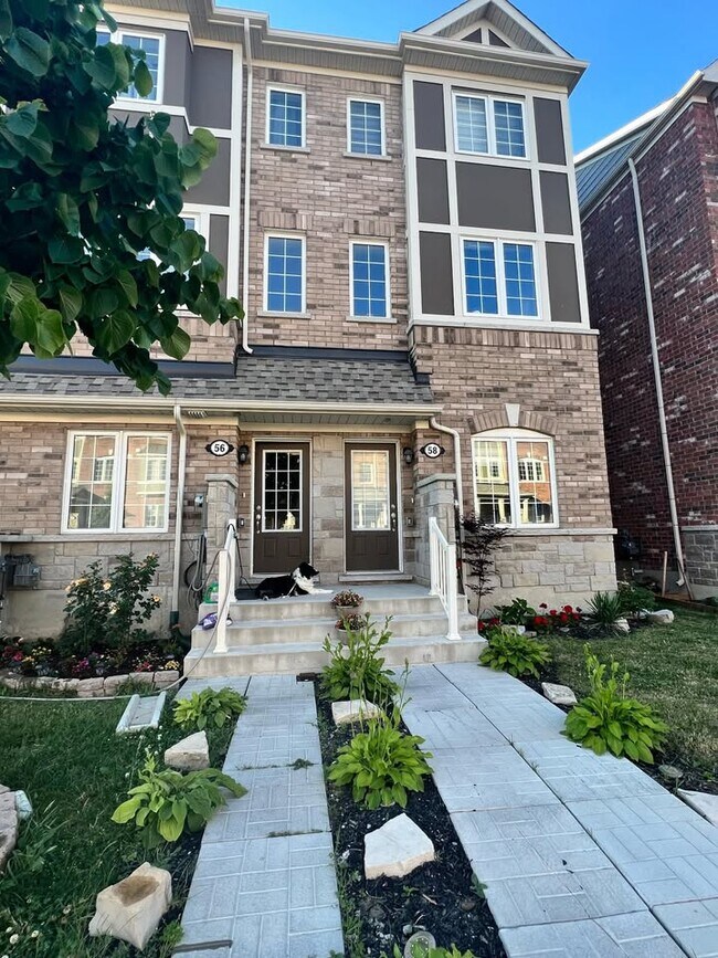 property at 56 Jolly Way