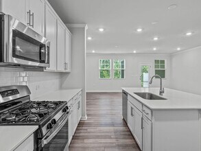 223 Aster Bloom Ln in Raleigh, NC - Building Photo - Building Photo