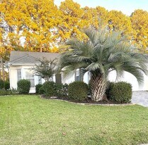 27 Lacebark Ln in Bluffton, SC - Building Photo