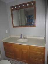 117 Commonwealth Rd, Unit House in Wayland, MA - Building Photo - Building Photo