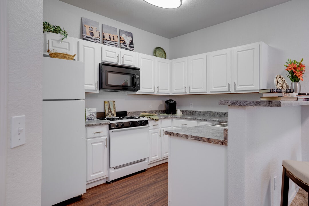 The Polo Club in Mesa, AZ - Foto de edificio