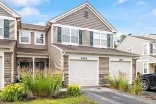 2442 Oneida Ln in Naperville, IL - Building Photo