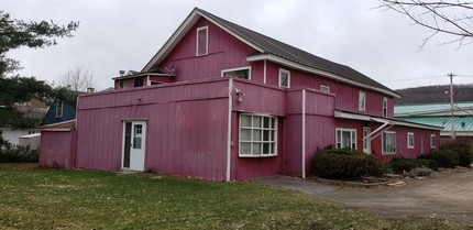 185-187 Chestnut St in Oneonta, NY - Building Photo - Building Photo