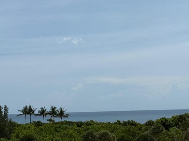 301 Ocean Bluffs Blvd in Jupiter, FL - Building Photo - Building Photo