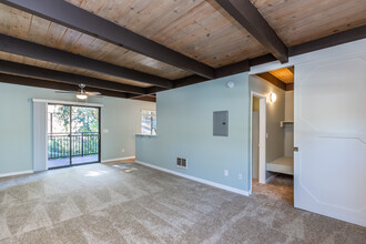 South Knoll Apartments in Mill Valley, CA - Building Photo - Building Photo