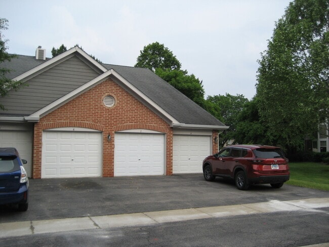 329 Pembroke Ct in Schaumburg, IL - Building Photo - Building Photo