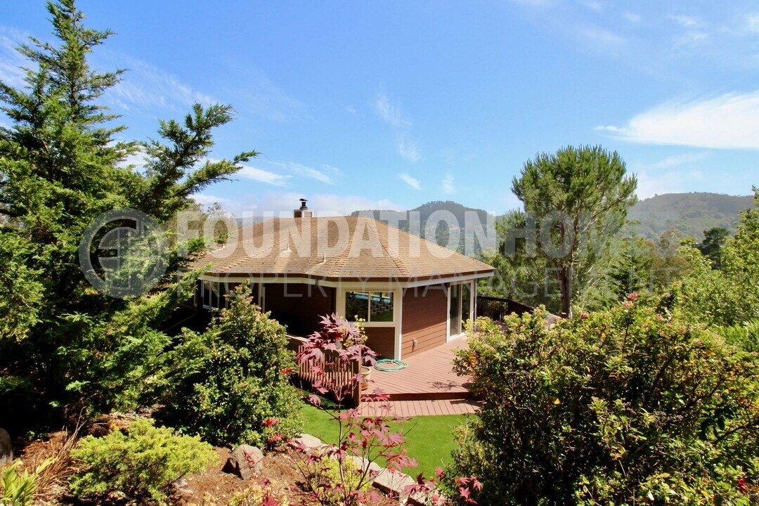 817 Ridgeview Dr in Mill Valley, CA - Building Photo