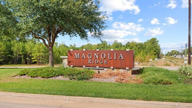 122 Magnolia Colony Ct in Magnolia, TX - Building Photo - Building Photo