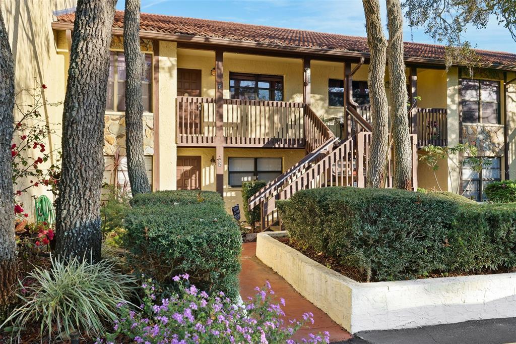 7650 Forest Trail in Port Richey, FL - Building Photo