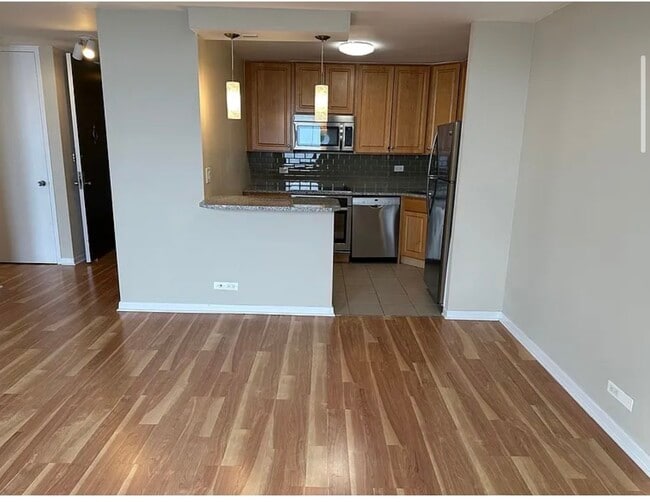 2626 N Lakeview Ave in Chicago, IL - Building Photo - Building Photo