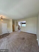 10314 Butternut Cir in Manassas, VA - Building Photo