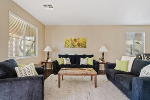 488 E Diamond Trail in San Tan Valley, AZ - Building Photo