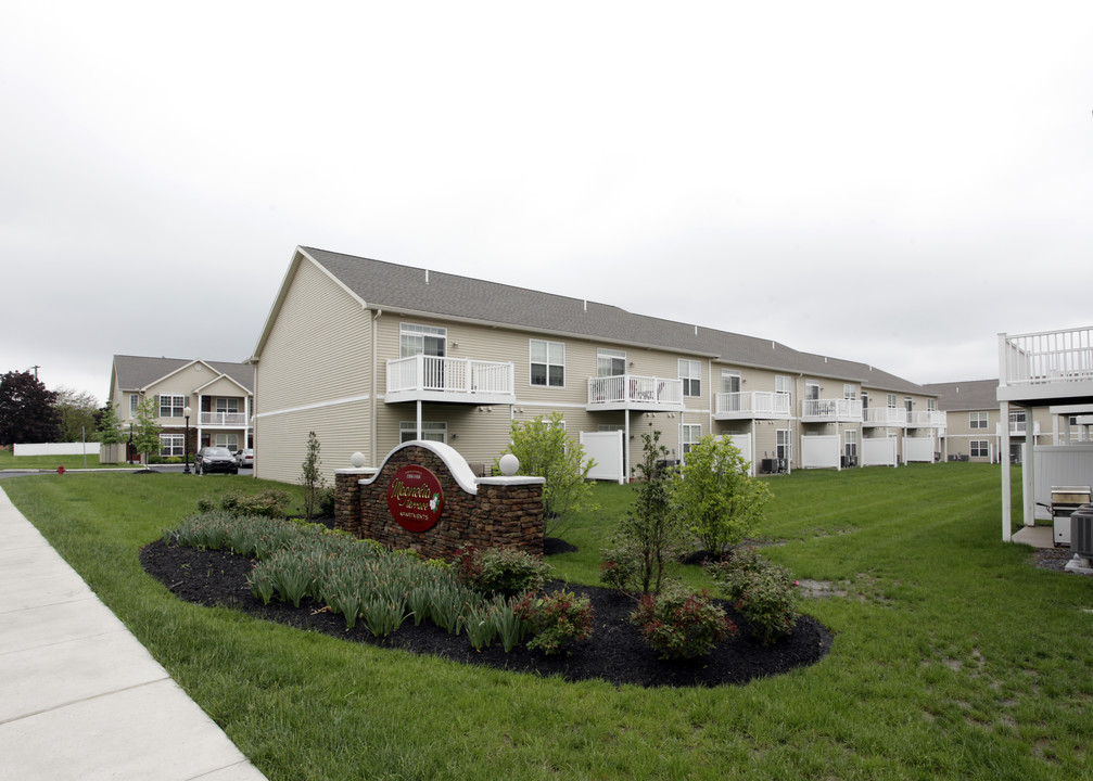 Magnolia Terrace in Harrisburg, PA - Foto de edificio