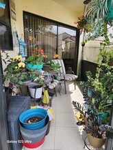 2915 San Remo Cir in Homestead, FL - Building Photo - Building Photo