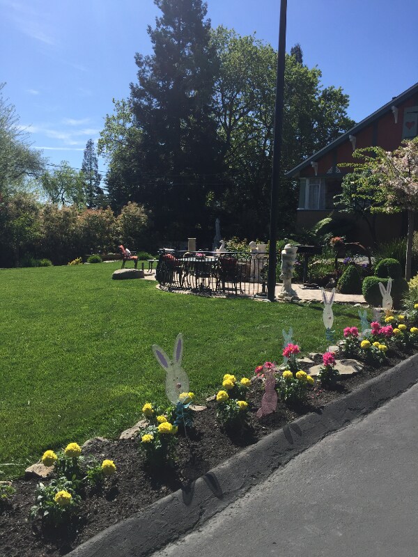 199 Saranap Ave, Unit 199 in Walnut Creek, CA - Building Photo - Building Photo