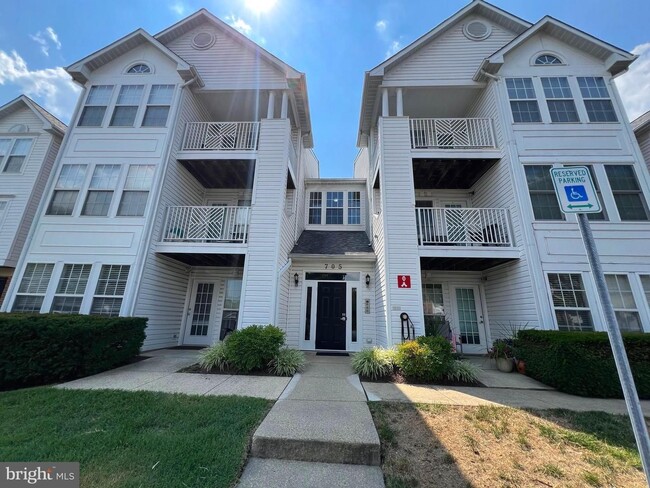 705 Harvest Run Dr in Odenton, MD - Building Photo - Building Photo