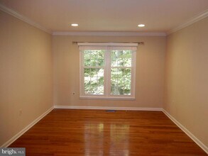 7014 Maple Tree Ln in West Springfield, VA - Building Photo - Building Photo