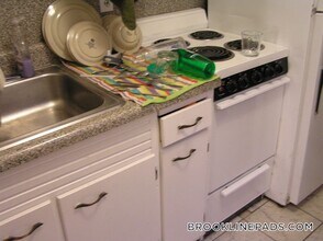 47 Cameron St, Unit 1 in Brookline, MA - Building Photo - Building Photo