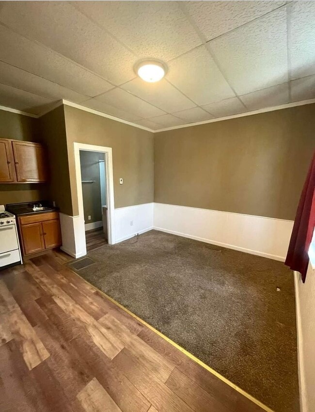 1307 Spring St in Quincy, IL - Building Photo - Building Photo
