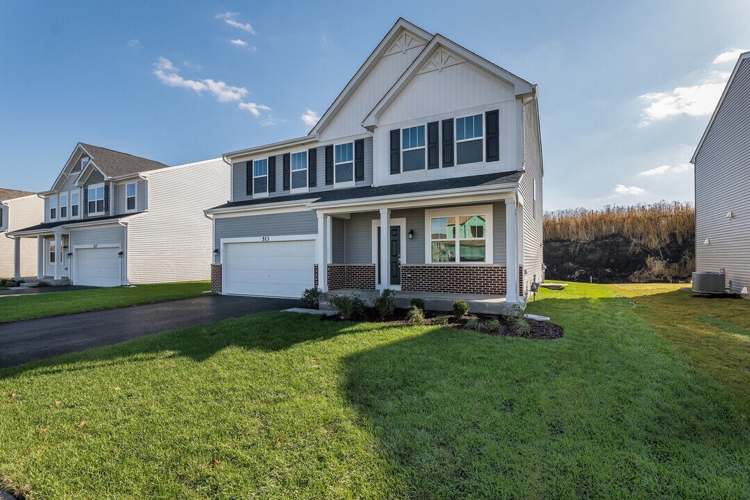 513 Carter Ave in Oswego, IL - Building Photo