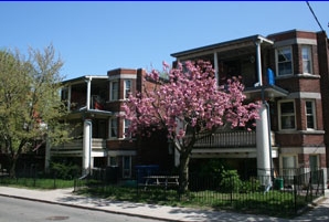 31 Melbourne Ave in Toronto, ON - Building Photo