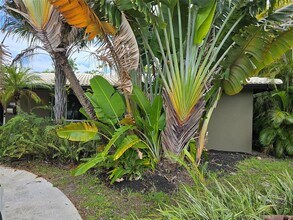 425 NW 24th St in Wilton Manors, FL - Building Photo - Building Photo