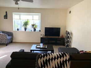 4349 Murray Ave in Pittsburgh, PA - Building Photo - Building Photo