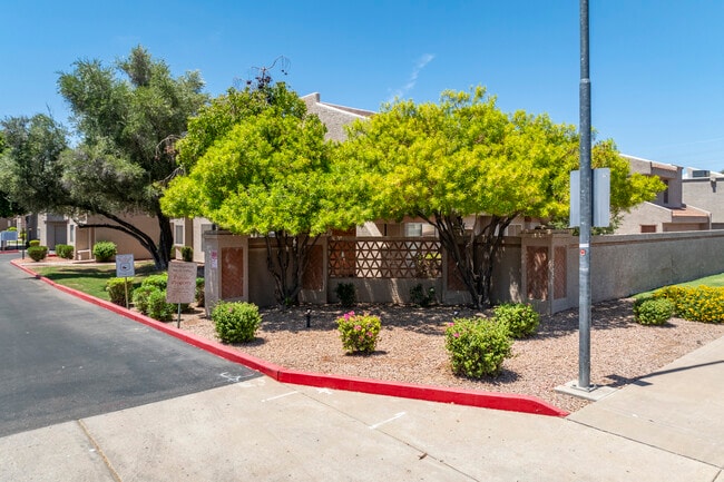Malborough Mesa Villas in Mesa, AZ - Building Photo - Building Photo
