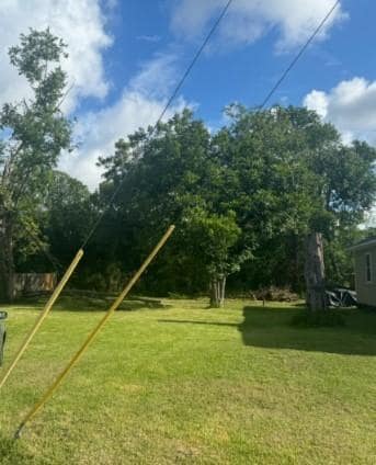 property at 7801 Angus St