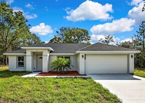 16487 SW 55th Court Rd in Ocala, FL - Building Photo