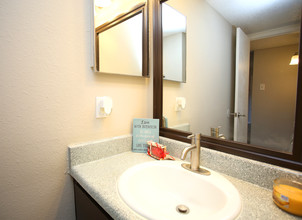 Marine Creek Apartments in Fort Worth, TX - Building Photo - Interior Photo