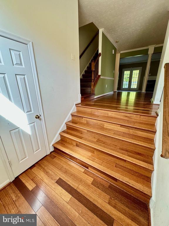 404 Waters Cove Ct in Stafford, VA - Building Photo - Building Photo