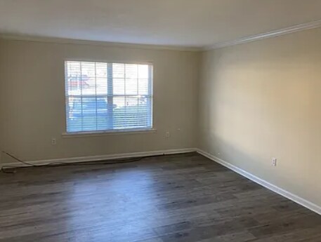 925 Cleveland St in Greenville, SC - Building Photo - Building Photo